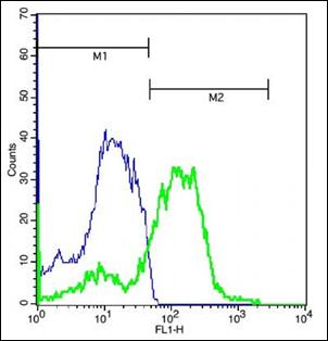 IL1RAPL2 Rabbit Polyclonal Antibody