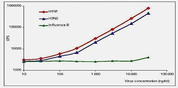 Influenza A Monoclonal Antibody (Detection)