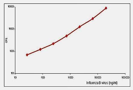 Influenza B Monoclonal Antibody (Capture)