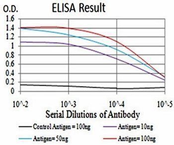 JARID2 Antibody