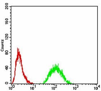 JARID2 Antibody