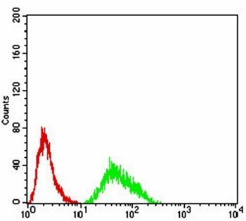 KDM6A Antibody