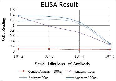 KID Antibody