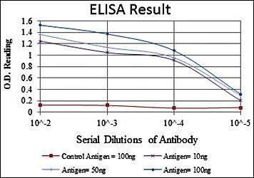 KID Antibody