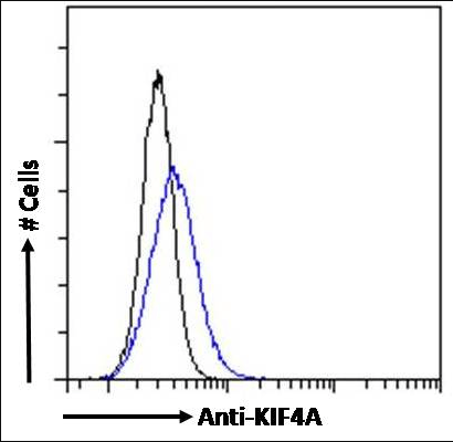 KIF4A Antibody