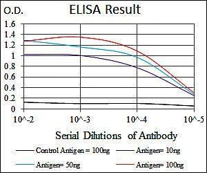 KLK3 Antibody
