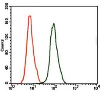 KLK3 Antibody