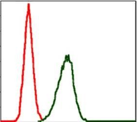 LPlunc1 Antibody