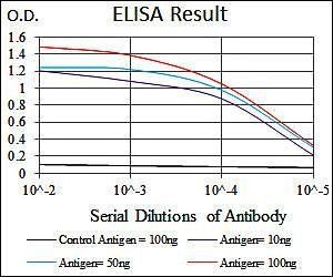 MAPK8 Antibody