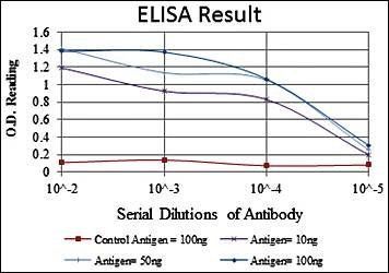 MMP9 Antibody