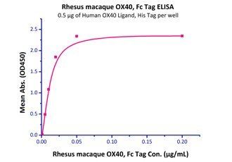 Cynomolgus / Rhesus macaque OX40 Protein, Fc Tag