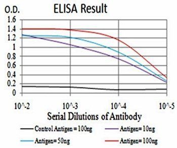 mTOR Antibody