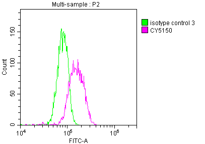 MYC Antibody