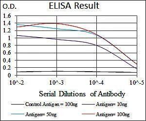 NKX2.2 Antibody
