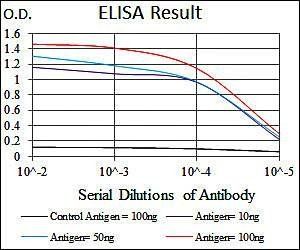 NOS2 Antibody