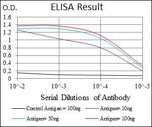 ONECUT3 Antibody