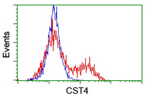 CST4 Antibody
