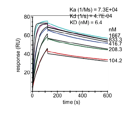 PCSK9 VHH antibody, clone LDL7
