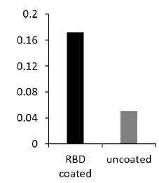 SARS-CoV-2 Spike RBD Antibody