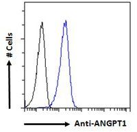 ANGPT1 Antibody