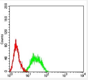 CD352 Antibody