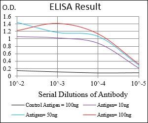 PAPLN Antibody
