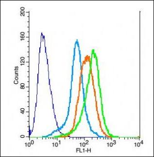 PCDHGA10 Rabbit Polyclonal Antibody