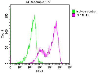 PD-L2 Antibody