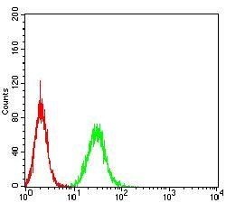 PGRMC1 Antibody