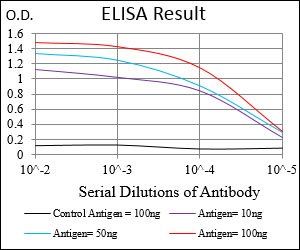 PLCG2 Antibody