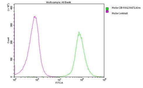 PODXL Antibody
