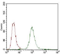 PPP1R1B Antibody