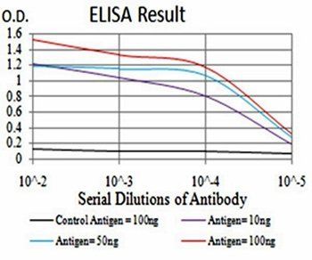 PRDM14 Antibody
