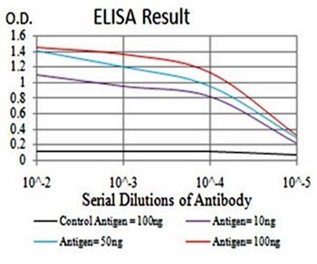 PRDM4 Antibody