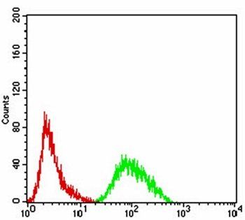 PRDM4 Antibody