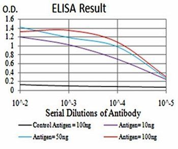 PRDM4 Antibody