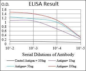 PRKAG1 Antibody