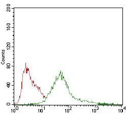PRKAG1 Antibody