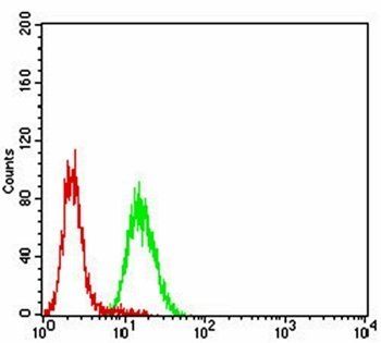 PROM1 Antibody