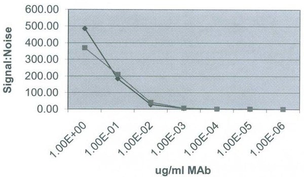 PTHLH Monoclonal Antibody