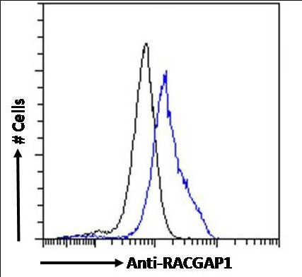 RACGAP1/MgcRacGAP Antibody