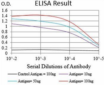 RHOF Antibody