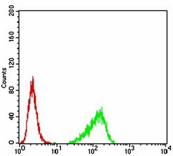 RND3 Antibody
