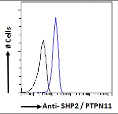 SHP2/PTPN11 Antibody