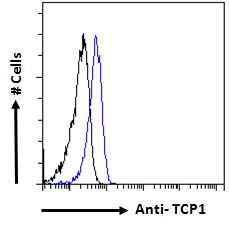 Goat anti-TCP1 Antibody