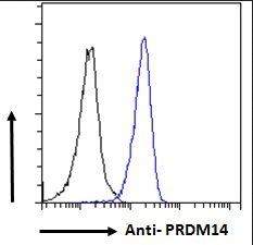 PRDM14 (aa414-427) Antibody