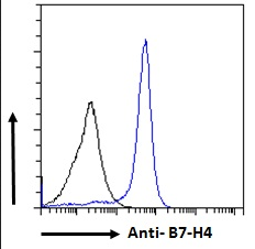 B7-H4 Antibody