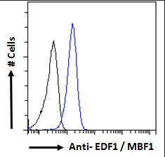 EDF1/MBF1 Antibody