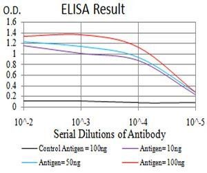 SEC31A Antibody