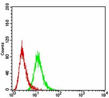 SIRT3 Antibody